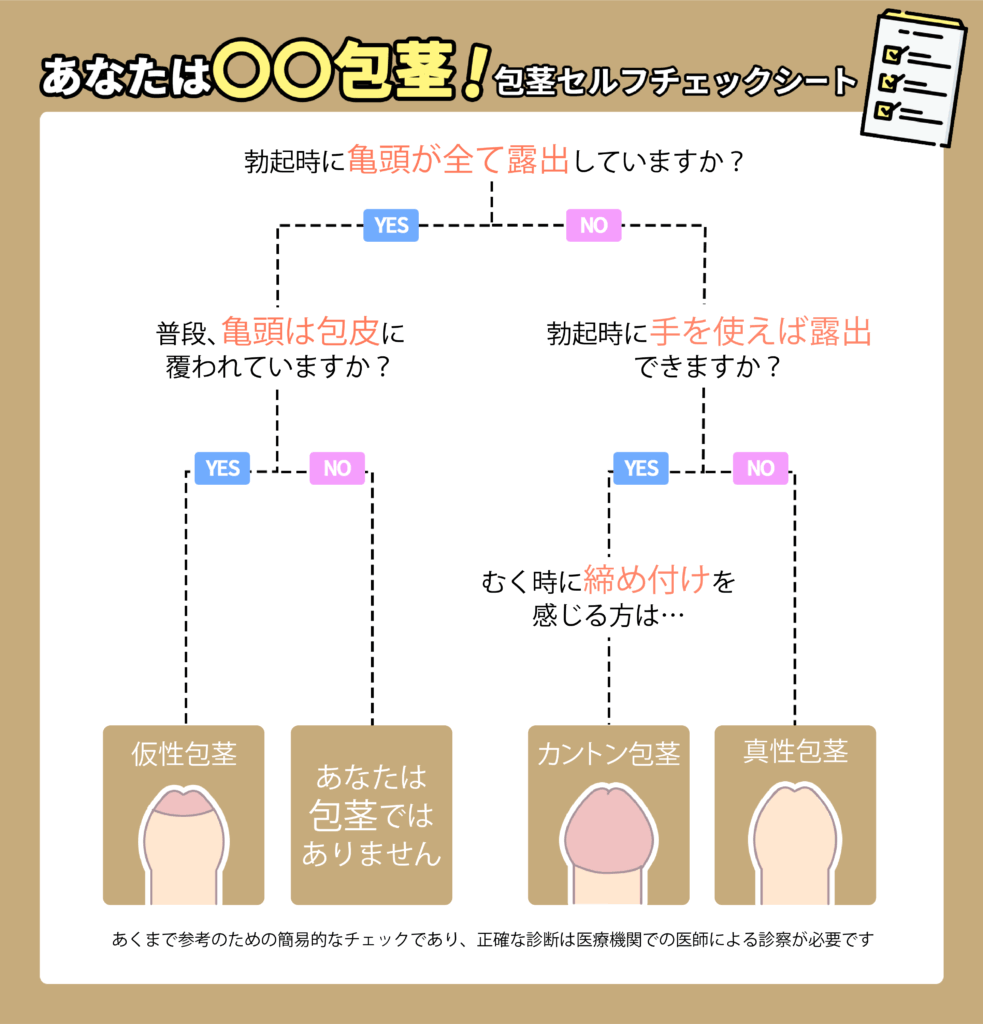 10秒で判断できる包茎セルフチェックシート